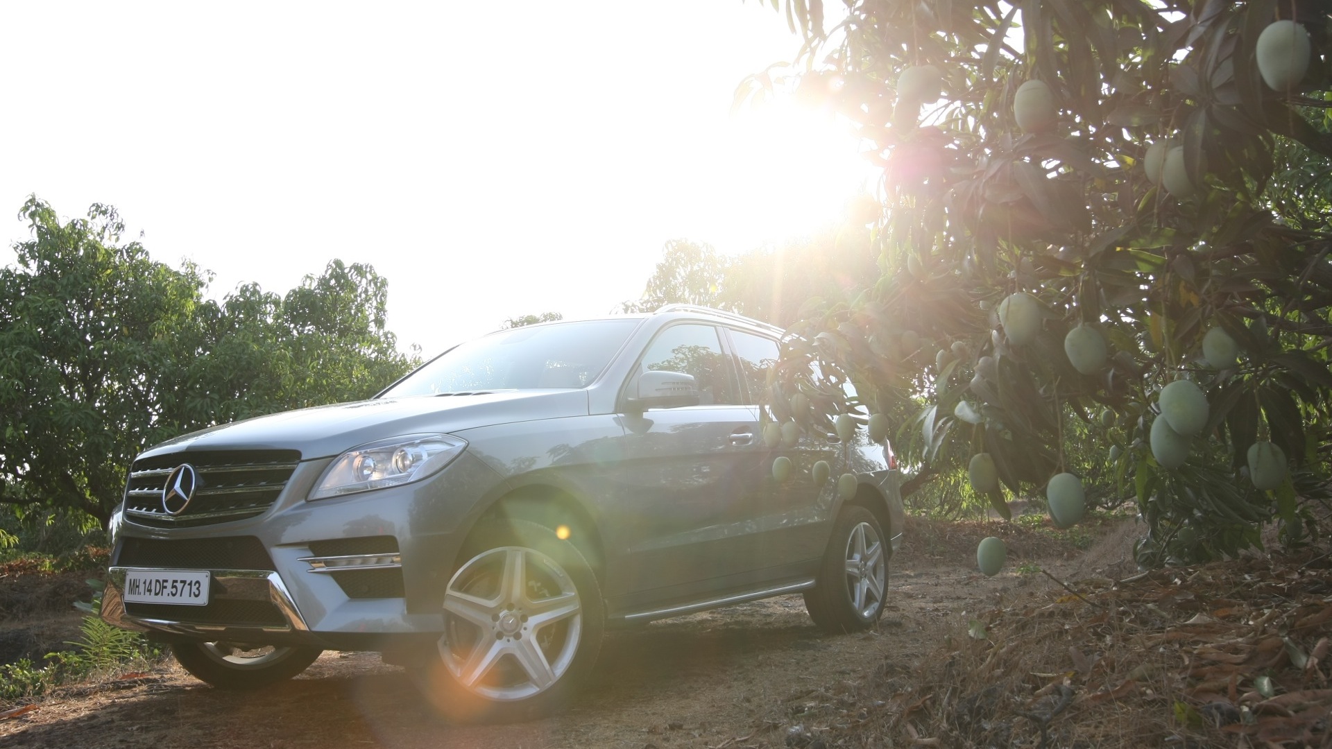 MercedesBenz-ML-class-2012-ML350-Exterior