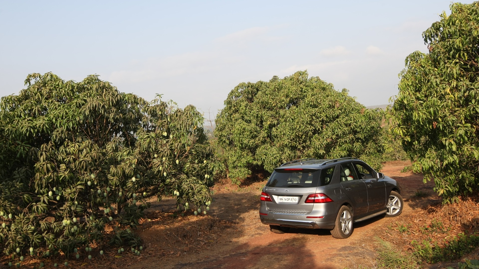 MercedesBenz-ML-class-2012-ML350-Exterior