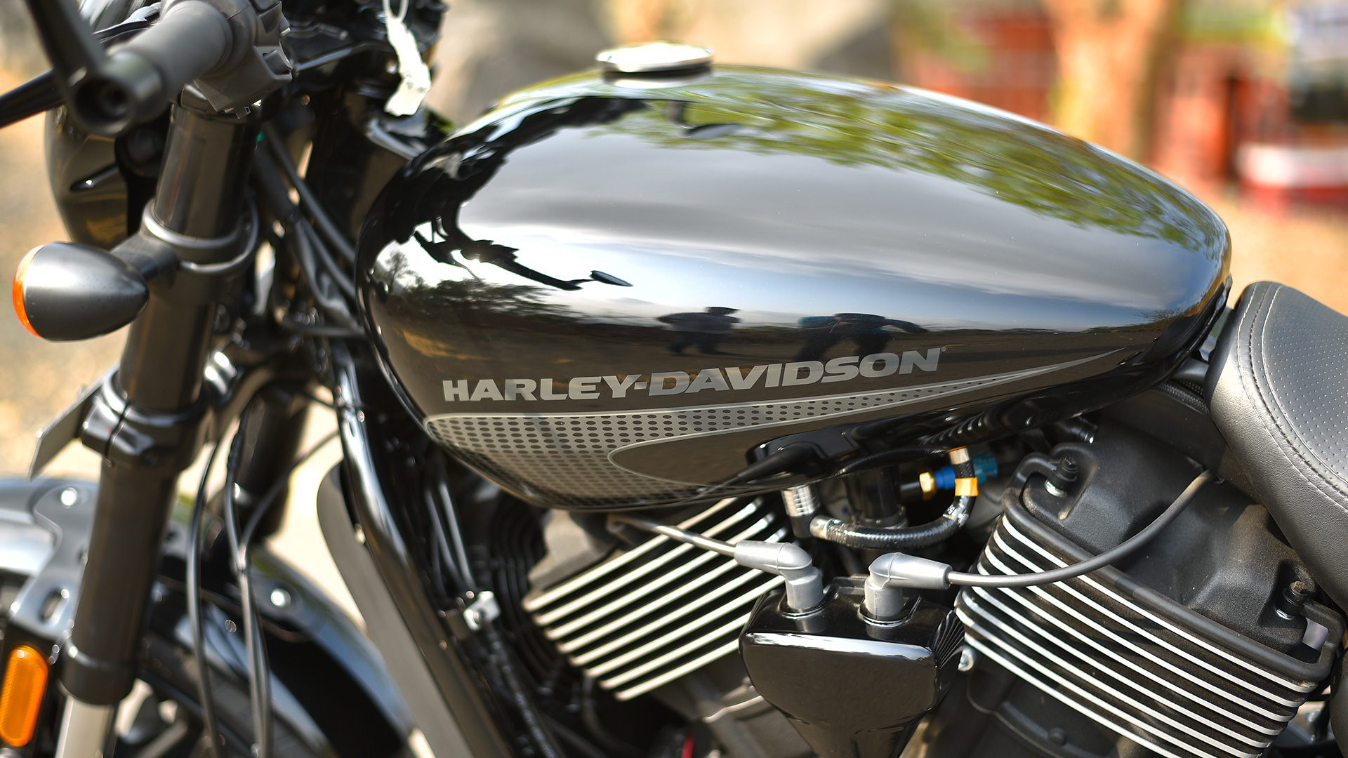 Harley-Davidson Street Rod 2017 STD Exterior