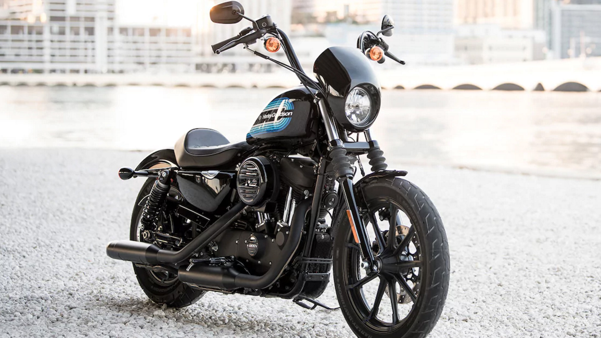 Harley-Davidson Iron 1200 2018 STD