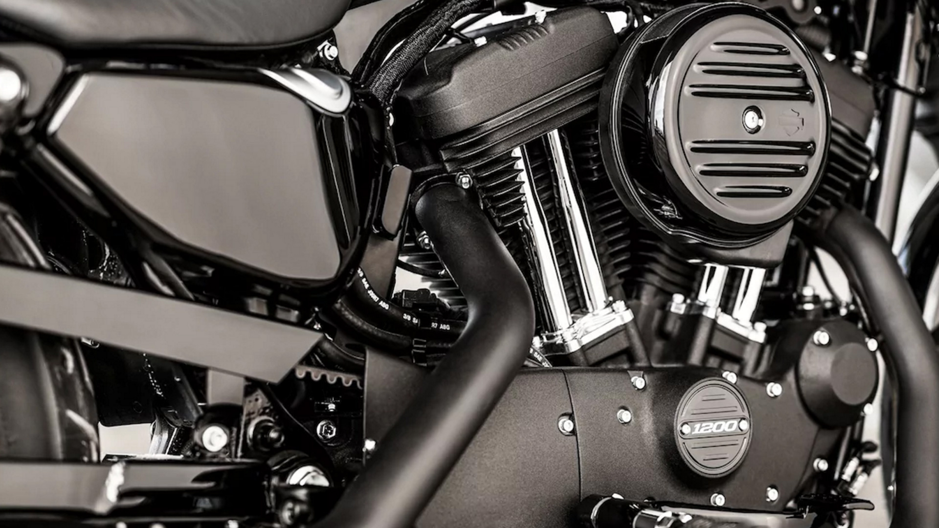 Harley-Davidson Iron 1200 2018 STD