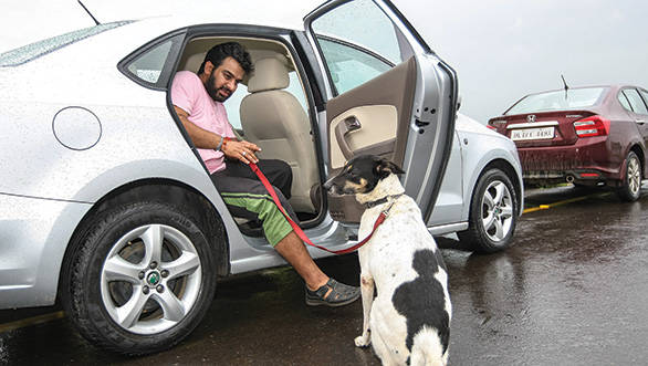 Skoda Rapid is not the best option out their for a pet owner, and can be very expensive to maintain with the added wear and tear of carrying pets