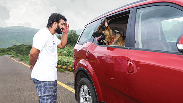 Mahindra XUV 500 is a dream pet car. You could fit several pets in there, each secured with their own leads to the various mooring points available in the vehicle