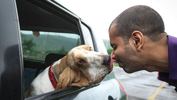 Treat your pet on car rides to reinforce a positive association