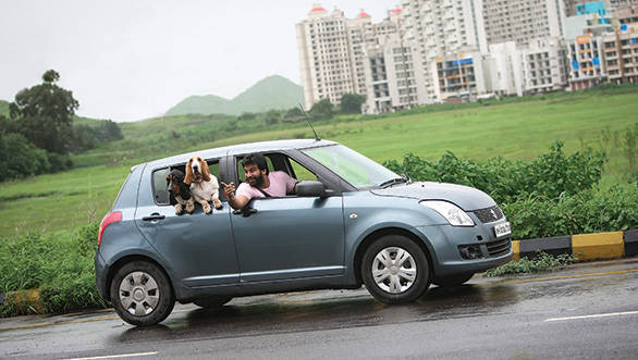Hatchbacks make ideal cars for couples with small pets