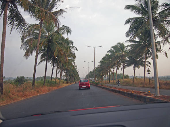 The lovely palm tree lined roads of Goa
