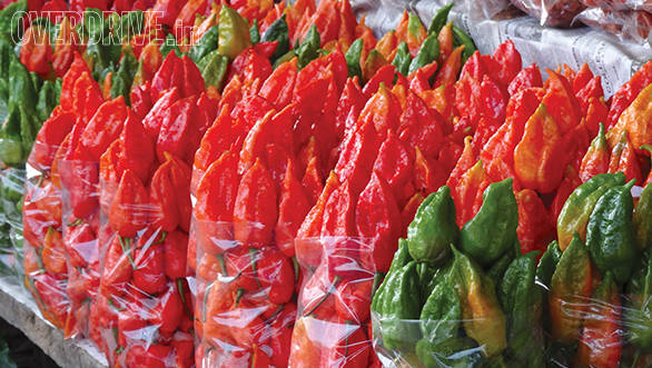 As were those fiery bhut jholokia chillies that are so famous in the North East and Mawlynnong's living root bridge