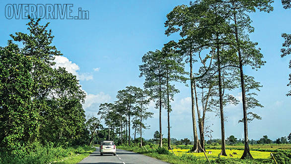 Clear skies in Kaziranga - the scenery along the way was ever-changing
