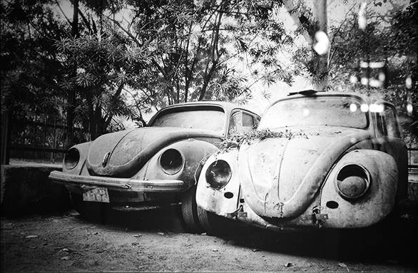 car graveyards (16)