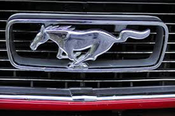 Ford Mustang grille emblem that was once sold as an accessory for Indian car owners