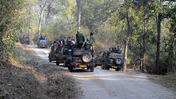 The Maruti Gypsy remains the favourute machine for jungle safaris