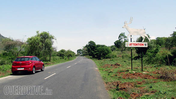 Sign to lookout for deer, Sathyamangalam Tiger Reserve