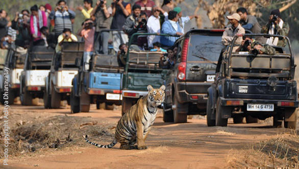 Image clicked by Aditya Dhanavatay