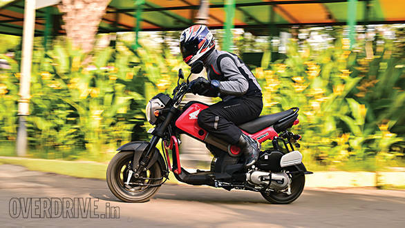 Honda Navi Longterm (1)