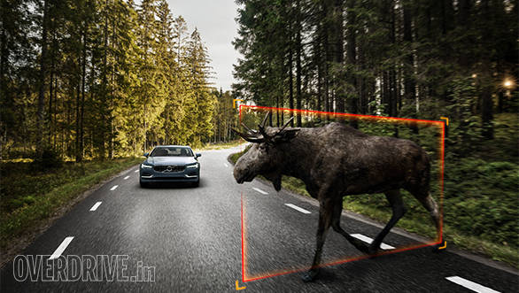 Exterior Large Animal Detection Volvo S90 1