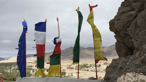 The belief is that prayer flags send prayers to the gods with every flap in the wind. Here the flags overlook the green of the valley below the Thiksey Monastery