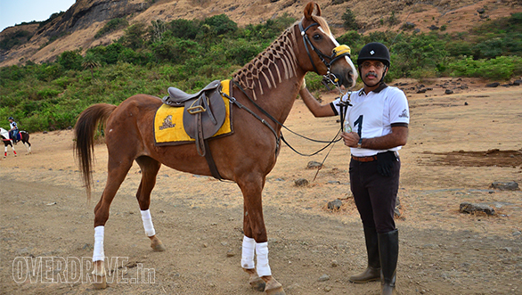 19-Khushru-Patel-finished-the-40-kms-Endurance,-but-was-eliminated-as-his-horse-Goldie-had-a-heart-beat-rate-of-68-per-minute.-The-maximum-permitted-is-64-beats