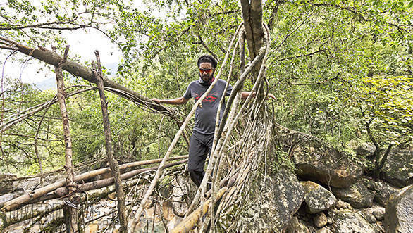 Our contest winner Binil Varghese checks out the longest Living Root Bridge