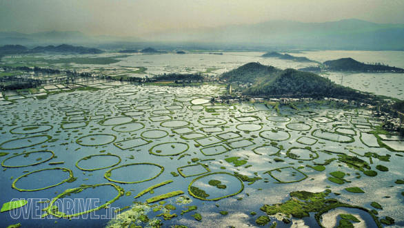 The magnificent Loktak lake is situated a few kilometres from Imphal, the capital of Manipur. The lake stretches across 980 sq,km and is quite a spectacular sight. The green circles you see are called Phumdis.  Villagers use these for fishing too,  