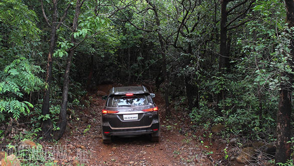 Entering the dense forest near Patgao
