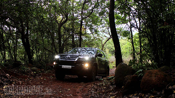 These jungles are so thick that even in the day you need to drive with the lights switched on