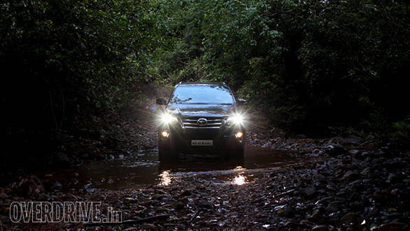 Deep in the forest, headlights shining bright...