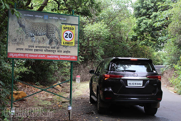 The Amba Ghat region is lined with many wildlife signboards