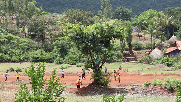 Cricket being played in a village complete with spectators sitting in trees