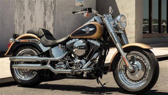 Buffalo Bag 11 Harley Davidson Softail Fat Boy Special Blackline 1984-2017 Bike 