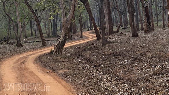 BMW Motorrad Deccan Safari | Tusker BMW Motorrad | Nagarhole National Park ambient