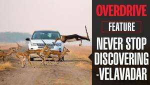 Never Stop Discovering: Velavadar Blackbuck National Park in the Discovery Sport