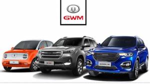 Chinese carmaker GWM's investment plans frozen by Maharashtra Government
