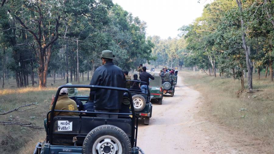 Wildlife Safaris  do the drivers need better training?