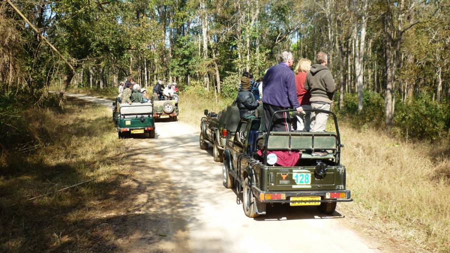 Wildlife Safaris  do the drivers need better training?
