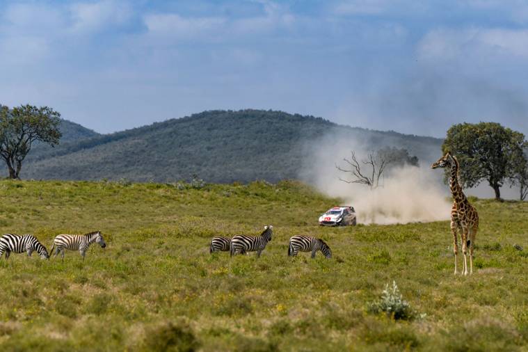 Celebrating  Return of the legendary Safari Rally