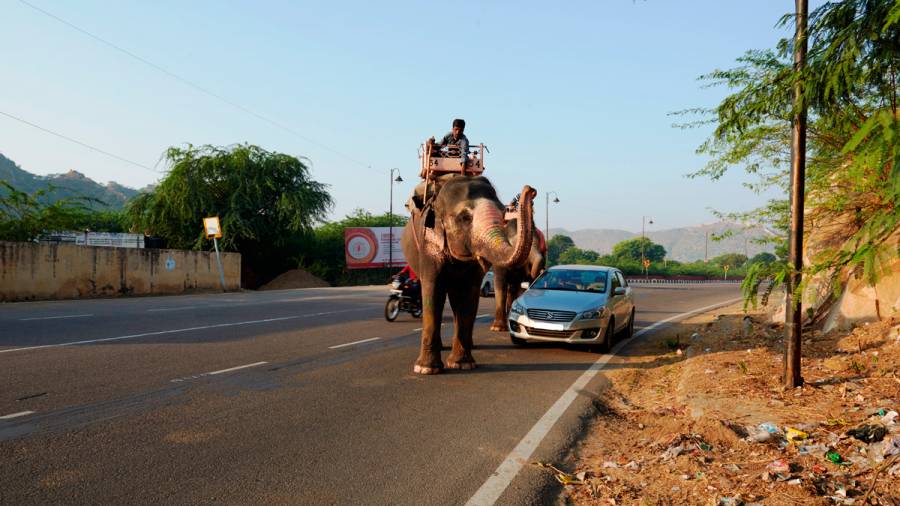 Indian Highways  The common and strange sights