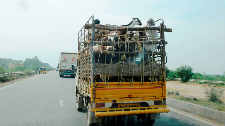 Indian Highways  The common and strange sights