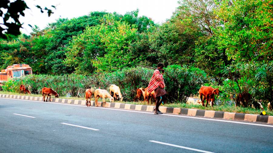 Indian Highways -And the disappearance of trees and milestones