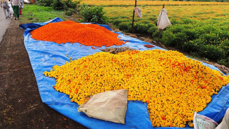 More of - Shopping on Indian Highways