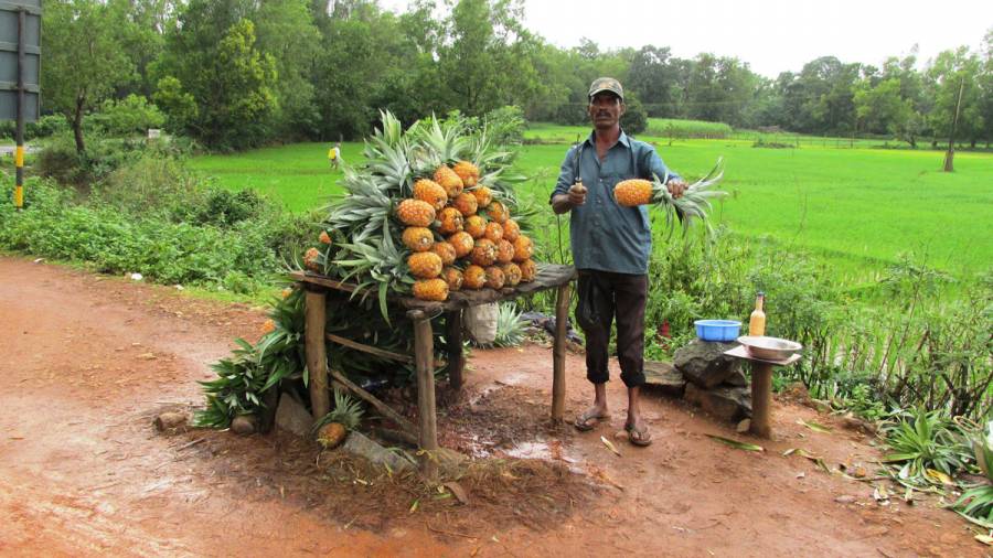 Shopping on Indian Highways