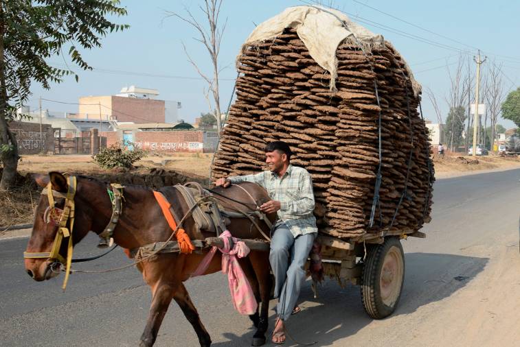 Indian Highways- And vast variety of vehicles