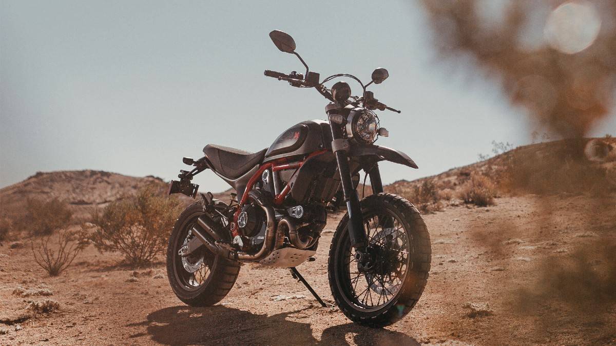 Ducati desert best sale sled off road