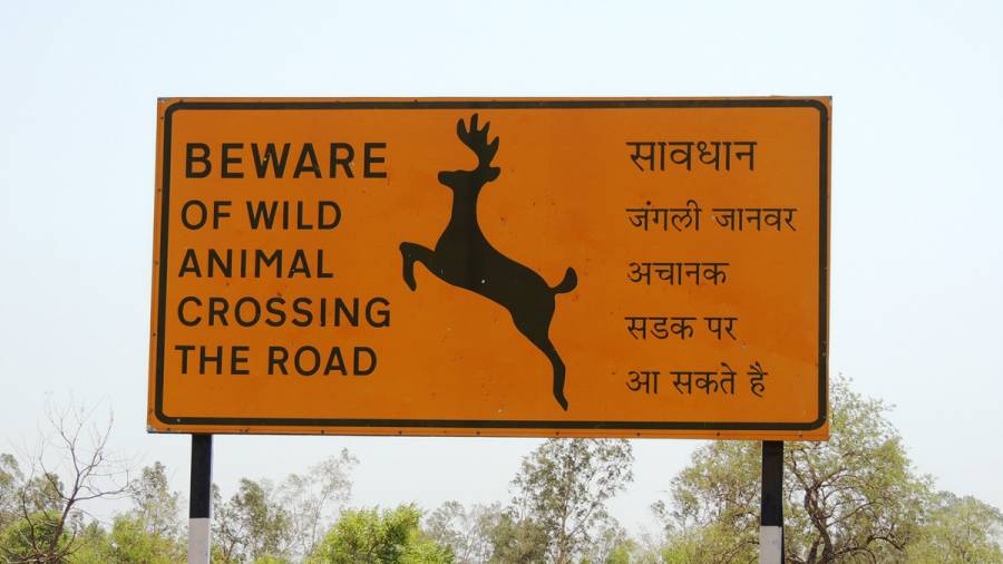 Indian Highways- And 