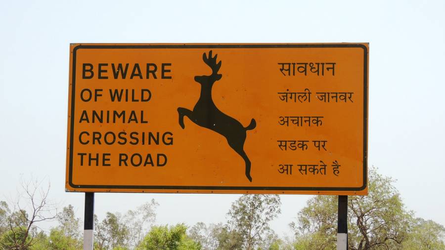 Go Gentle On My Curves” And Other Hilarious Indian Road Signs