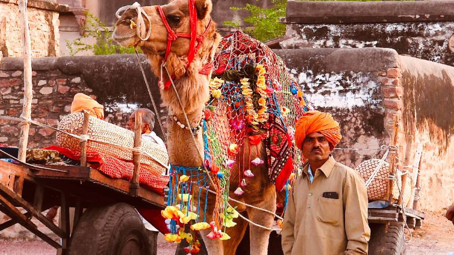 Incredible India-Where Camel Carts Run on Aircraft Wheels and Tyres