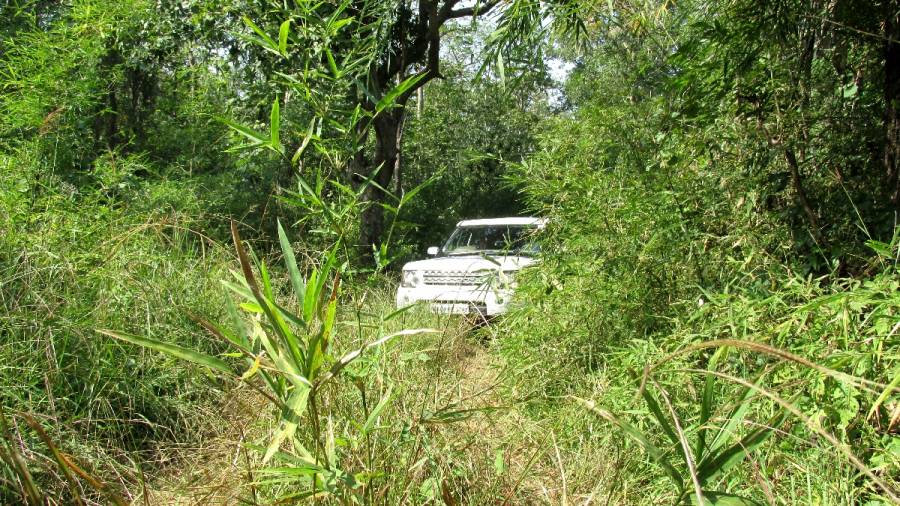 50th World Environment Day and Saluting the Roads to Heaven