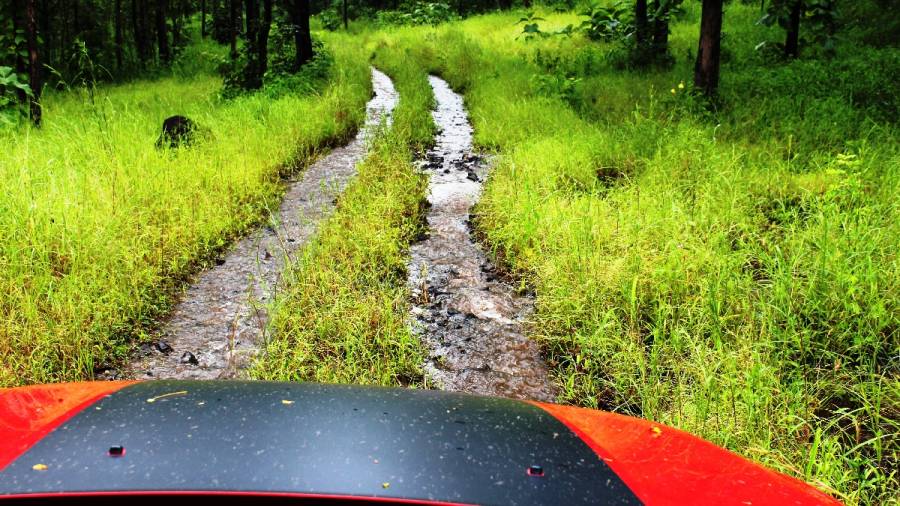 50th World Environment Day and Saluting the Roads to Heaven