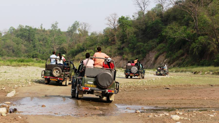 Can the Maruti Suzuki Jimny step into the shoes of the Gypsy?