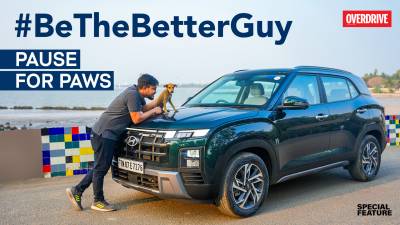 Hyundai #BeTheBetterGuy 2024. Pause for Paws